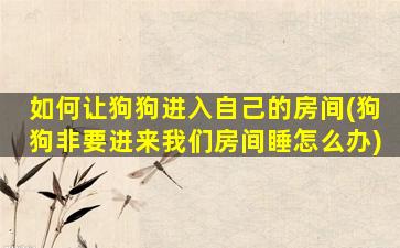 如何让狗狗进入自己的房间(狗狗非要进来我们房间睡怎么办)