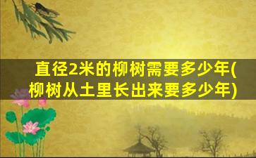 直径2米的柳树需要多少年(柳树从土里长出来要多少年)