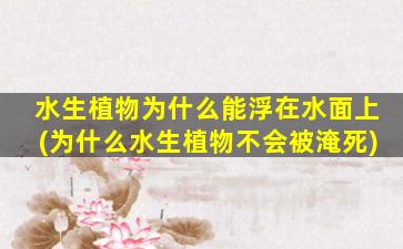 水生植物为什么能浮在水面上(为什么水生植物不会被淹死)