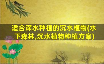 适合深水种植的沉水植物(水下森林,沉水植物种植方案)