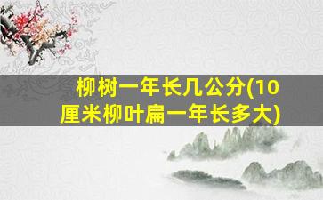 柳树一年长几公分(10厘米柳叶扁一年长多大)