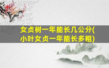 女贞树一年能长几公分(小叶女贞一年能长多粗)