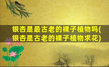 银杏是最古老的裸子植物吗(银杏是古老的裸子植物求花)