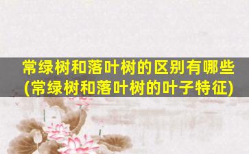 常绿树和落叶树的区别有哪些(常绿树和落叶树的叶子特征)
