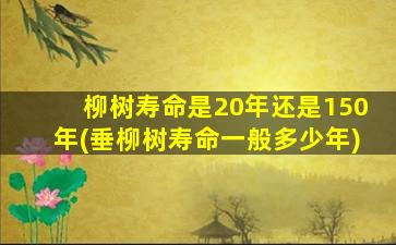 柳树寿命是20年还是150年(垂柳树寿命一般多少年)