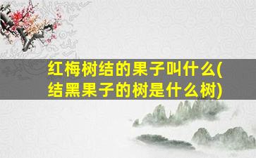 红梅树结的果子叫什么(结黑果子的树是什么树)