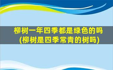 柳树一年四季都是绿色的吗(柳树是四季常青的树吗)