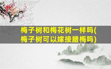 梅子树和梅花树一样吗(梅子树可以嫁接腊梅吗)