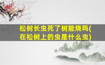 松树长虫死了树能烧吗(在松树上的虫是什么虫)