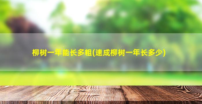 柳树一年能长多粗(速成柳树一年长多少)