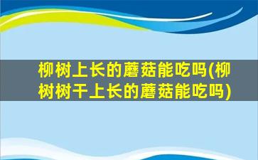 柳树上长的蘑菇能吃吗(柳树树干上长的蘑菇能吃吗)
