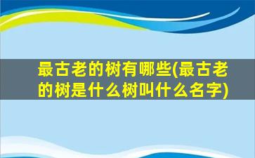 最古老的树有哪些(最古老的树是什么树叫什么名字)