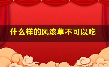 什么样的风滚草不可以吃