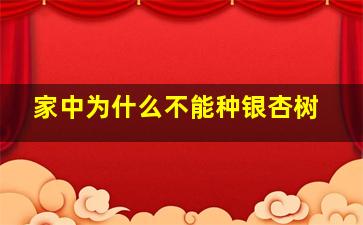 家中为什么不能种银杏树