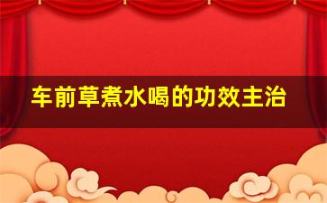 车前草煮水喝的功效主治