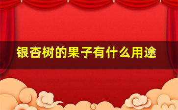 银杏树的果子有什么用途