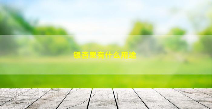 银杏果有什么用途