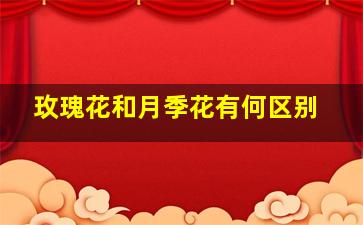 玫瑰花和月季花有何区别