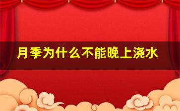 月季为什么不能晚上浇水