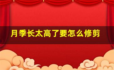 月季长太高了要怎么修剪