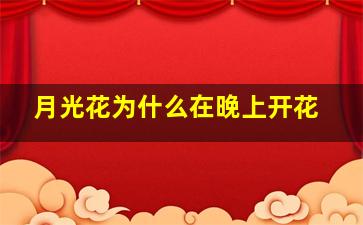 月光花为什么在晚上开花