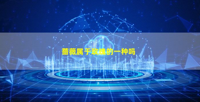 蔷薇属于玫瑰的一种吗