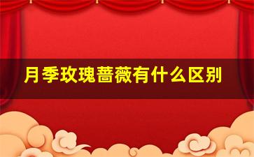 月季玫瑰蔷薇有什么区别