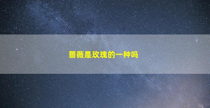 蔷薇是玫瑰的一种吗