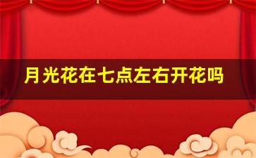月光花在七点左右开花吗