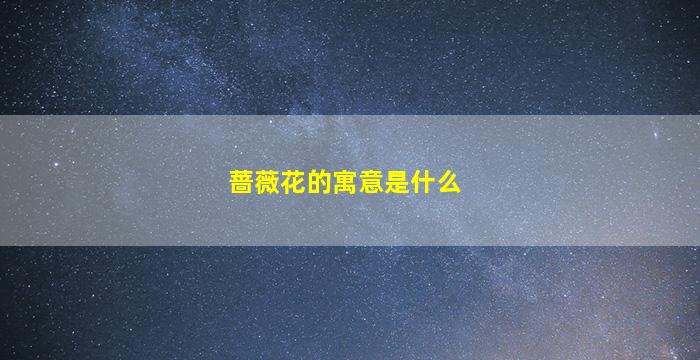 蔷薇花的寓意是什么