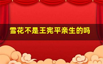雪花不是王宪平亲生的吗