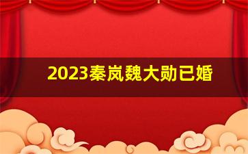 2023秦岚魏大勋已婚