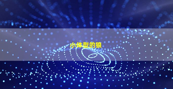 小体型的狼