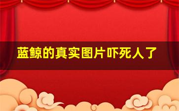 蓝鲸的真实图片吓死人了