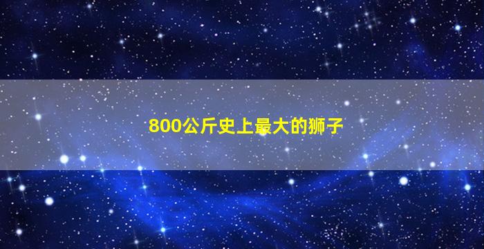 800公斤史上最大的狮子