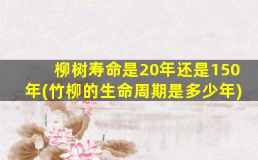 柳树寿命是20年还是150年(竹柳的生命周期是多少年)