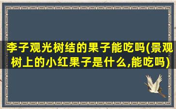 李子观光树结的果子能吃吗(景观树上的小红果子是什么,能吃吗)