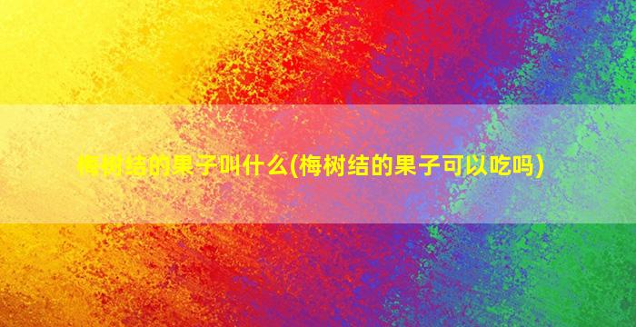 梅树结的果子叫什么(梅树结的果子可以吃吗)