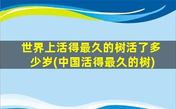 世界上活得最久的树活了多少岁(中国活得最久的树)