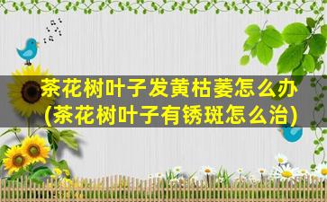 茶花树叶子发黄枯萎怎么办(茶花树叶子有锈斑怎么治)
