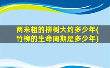 两米粗的柳树大约多少年(竹柳的生命周期是多少年)