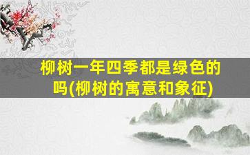 柳树一年四季都是绿色的吗(柳树的寓意和象征)