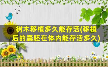 树木移植多久能存活(移植后的囊胚在体内能存活多久)