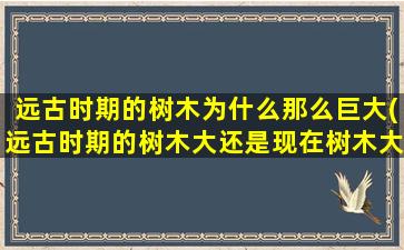 远古时期的树木为什么那么巨大(远古时期的树木大还是现在树木大)