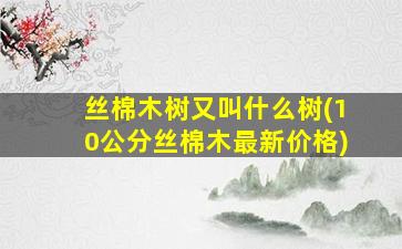 丝棉木树又叫什么树(10公分丝棉木最新价格)