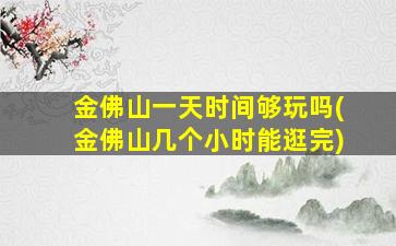 金佛山一天时间够玩吗(金佛山几个小时能逛完)
