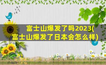 富士山爆发了吗2023(富士山爆发了日本会怎么样)