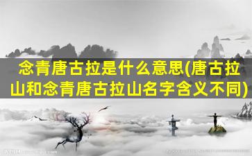 念青唐古拉是什么意思(唐古拉山和念青唐古拉山名字含义不同)