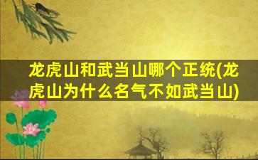 龙虎山和武当山哪个正统(龙虎山为什么名气不如武当山)