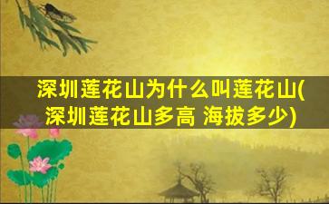 深圳莲花山为什么叫莲花山(深圳莲花山多高 海拔多少)